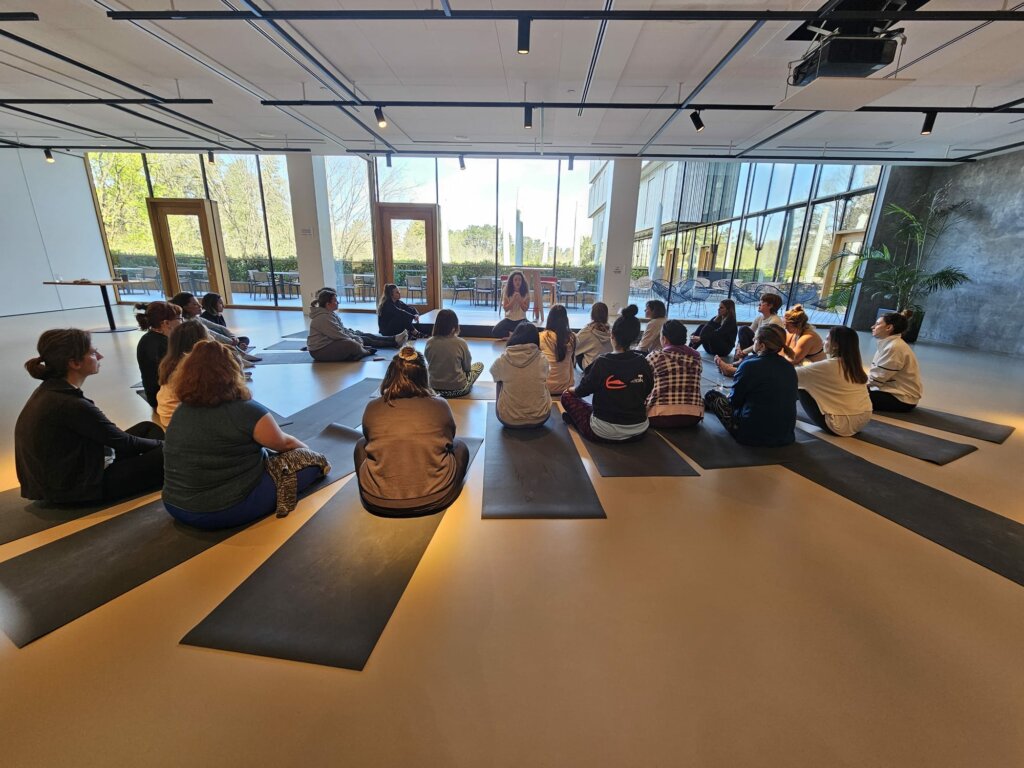 Taller grupal de gestión emocional